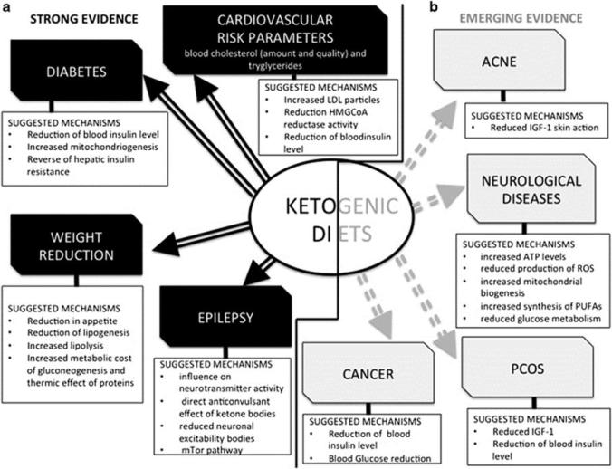 Possible physiological and biochemical mechanisms for the therapeutic action of a ketogenic diet in diseases and conditions for which there is strong scientific evidence (a) and emerging evidence (b).