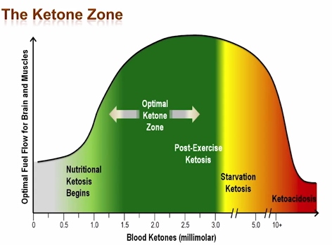 Optimal Ketosis Range (2)